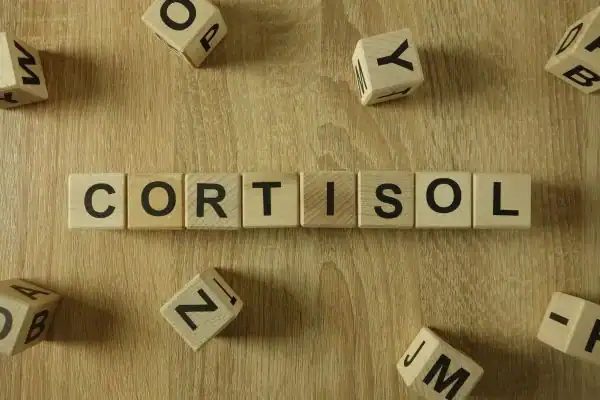 The Hidden Connection: How Stress Shapes Your Fitness and Body Composition 2 Image saying "Cortisol" and how stress Livingston impacts your wellbeing and bodies shape